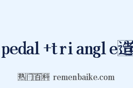 pedal+triangle造句是什么意思的图片